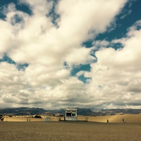 Sobre la mente y el&nbsp;orden