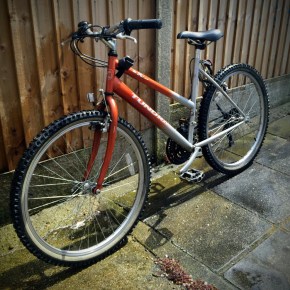 Tundra: una amiga de&nbsp;viaje