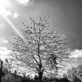 Problemas del primer&nbsp;mundo